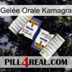 Gelée Orale Kamagra 12